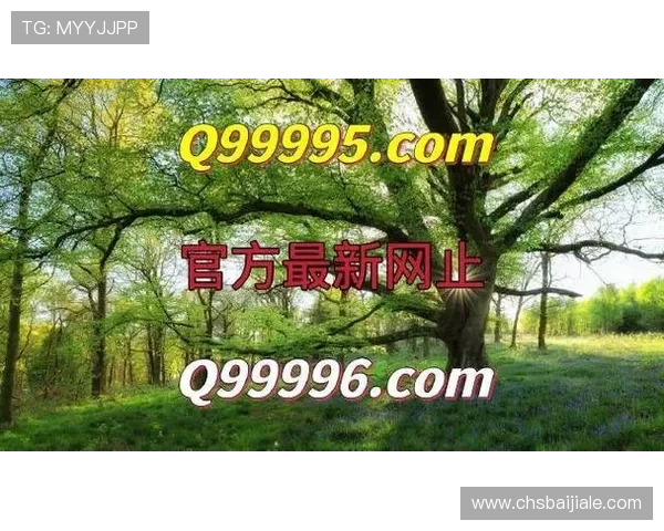 掌握AG真人网投下载技巧,提升游戏体验享受更顺畅的真人娱乐乐趣